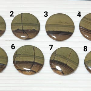 Beautiful Owyhee picture jasper Cabochon. Owyhee picture jasper Beautifully Cut Circle Cabochon With Excellent Pattern