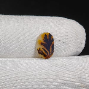 Natural Dendritic Agate Gemstones Dendritic quartz Loose Stone Cabochon For Making Jewelry 2 Ct 11X7X2 MM