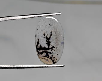 Op de afbeelding: Een ovaalvormige edelsteen met een heldere, doorschijnende basis. De steen heeft een opvallende zwarte dendritische insluitsel die lijkt op een boomtak. Vastgehouden door een metalen pincet, is de edelsteen een uniek stuk voor het maken van sieraden of verzamelen.