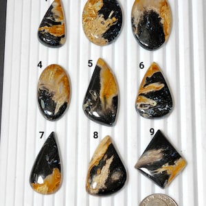 Könnte beinhalten: Neun polierte Edelstein-Cabochons in verschiedenen Formen und Größen mit schwarzen, braunen und weißen Mustern. Die Cabochons sind von 1 bis 9 nummeriert.