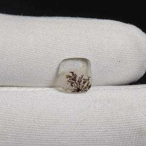Natural Dendritic Agate Gemstones Dendritic quartz Loose Stone Cabochon For Making Jewelry 2 Ct 9X9X2 MM