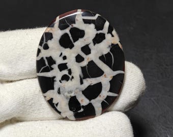 Natural Septarian Gemstone, spider design Septarian Handmade Cabochon, loose semi precious stone Septarian healing 122 Ct 57X45X5 MM
