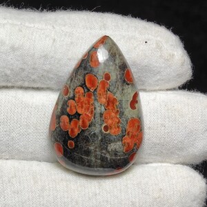 May include: A teardrop-shaped, polished stone with a dark gray background and a pattern of small, bright orange spots.