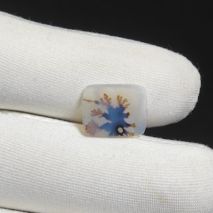 Natural Dendritic Agate Gemstones Dendritic quartz Loose Stone Cabochon For Making Jewelry 3 Ct 10X11X2 MM
