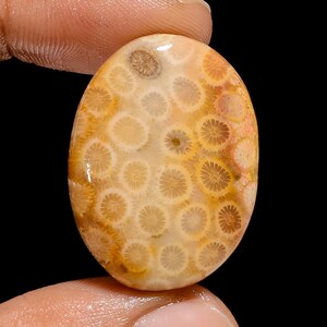 Weihnachtsgeschenk Natürliche Fossile Koralle Oval Form Cabochon Lose Edelstein für die Herstellung von Schmuck 36,5 Ct. 30X22X6 mm M-590