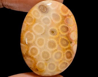 Christmas gift Natural Fossil Coral Oval Shape Cabochon Loose Gemstone For Making Jewelry 36.5 Ct. 30X22X6 mm M-590