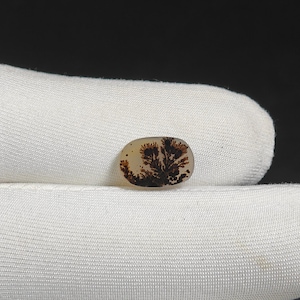 Natural Dendritic Agate Gemstones Dendritic quartz Loose Stone Cabochon For Making Jewelry 2 Ct 12X8X2 MM