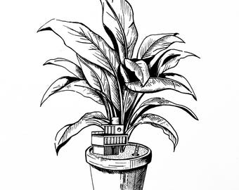 Leave everything behind and go live in a flower pot