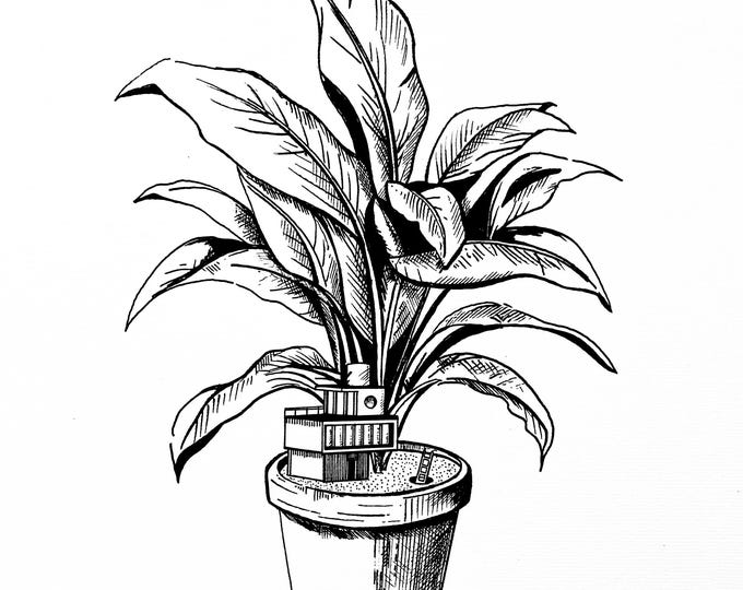 Leave everything behind and go live in a flower pot