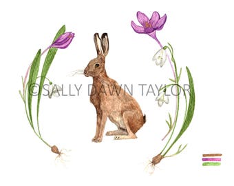 Spring Hare with Snowdrops, Watercolour Painting Print (Direct from Artist)