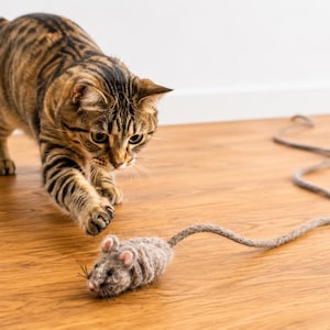 Op de afbeelding: Een bruine tabbykat met zwarte strepen nadert een grijze speelgoedmuis op een houten vloer. De kat is gefocust op het speelgoed, met zijn poten uitgestrekt. De speelgoedmuis heeft een lange, grijze staart.