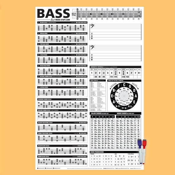 The Essential Bass Theory Poster 24/"x36/"