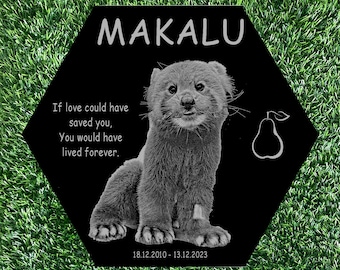 Pet memorial stone, pet memory