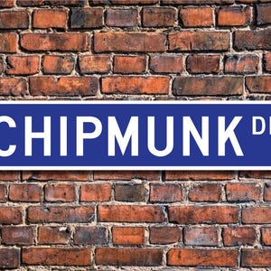 Chipmunk, Chipmunk Gift, Chipmunk Sign, Chipmunk decor, Chipmunk lover, Chipmunk expert, Custom Street Sign, Quality Metal Sign