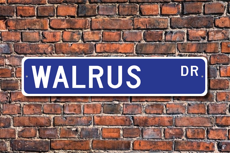 Walrus, Walrus Gift, Walrus Sign, Walrus decor, Walrus lover, marine mammal, long tusked animal, Custom Street Sign, Quality Metal Sign image 1