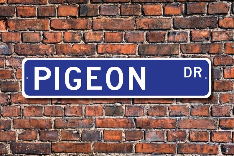 Pigeon, Pigeon Gift, Pigeon Sign, Pigeon decor, Pigeon lover, pigeon and dove family, bird lover, Custom Street Sign,Quality Metal Sign image 1