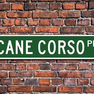 Cane Corso, Cane Corso Gift, Cane Corso Sign, Custom Street Sign, Quality Metal Sign, Dog Lover Gift, Dog Owner Gift, Sign Dog Owner