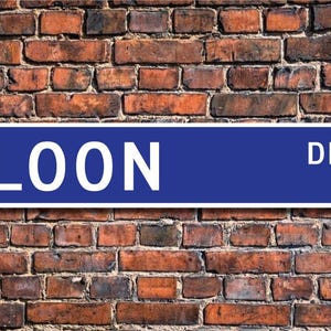 Loon, Loon Gift, Loon Sign, Loon decor, Loon lover, divers, aquatic birds, native No America, Custom Street Sign, Quality Metal Sign