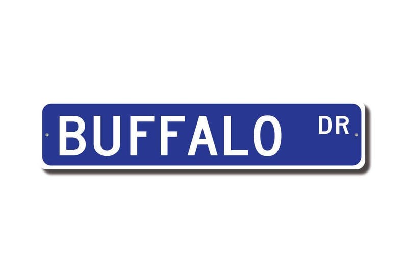 Buffalo, Buffalo Gift, Buffalo Sign, Buffalo decor, Buffalo expert, Bison, plains animal, Custom Street Sign, Quality Metal Sign image 2