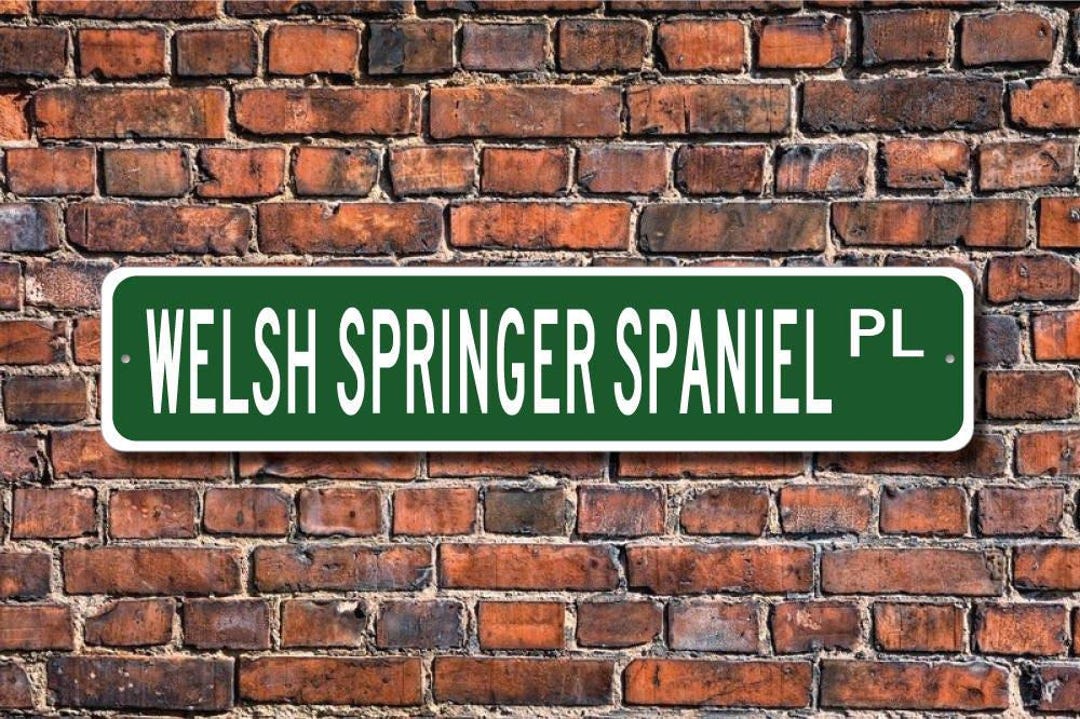 Springer Spaniel Sign Welsh Springer Spaniel, Welsh Springer Spaniel Sign, Welsh Springer ...