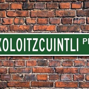 Xoloitzcuintli Dog, Xoloitzcuintli Dog Sign, Xoloitzcuintli Dog Lover, Custom Street Sign, Quality Metal Sign, Dog owner sign, Dog lover