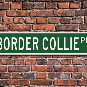 Border Collie Dog, Border Collie Dog Gift, Border Collie Dog Sign, Dog Lover Gift, Custom Street Sign, Quality Metal Sign,