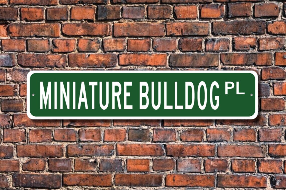 Miniature Bulldog Miniature Bulldog Lover Miniature Bulldog Etsy