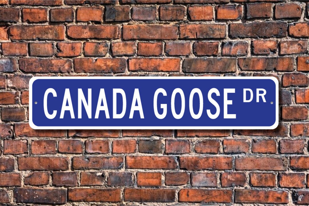 Canada Goose, Canada Goose Gift, Canada Goose Sign, Canada Goose Decor