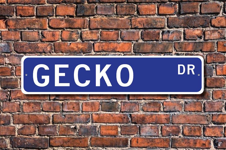 Gecko, Gecko Gift, Gecko Sign, Gecko decor, Gecko lover, lizard family, Gecko expert, warm climate, Custom Street Sign, Quality Metal sign image 1