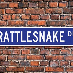 Klapperschlange, Klapperschlange Geschenk, Klapperschlangenschild, Klapperschlangendekor, Klapperschlangenliebhaber, giftig, kundenspezifisches Straßenschild, Qualität Metallschild