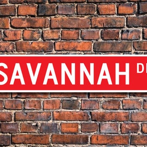 Savannah, Savannah Sign, Savannah Cat Owner, Savannah Gift, Savannah Cat Decor, Cat Lover, Custom Street Sign, Quality Metal Sign