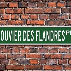 Bouvier des Flandres, cadeau Bouvier des Flandres, bord Bouvier des Flandres, cadeau hondenliefhebber, aangepast straatnaambord, metalen kwaliteitsbord,
