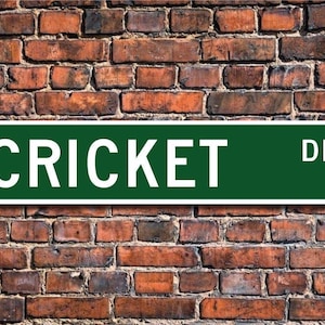 Cricket, Cricket sign, Cricket fan, Cricket gift, Cricket player, Cricket lover, bat and ball game, Custom Street Sign, Quality Metal Sign