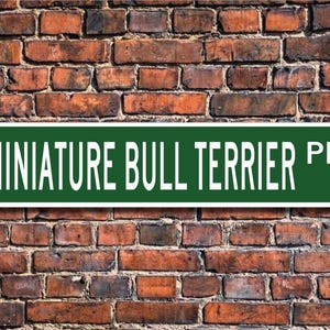 Miniature Bull Terrier Miniature Bull Terrier Lover