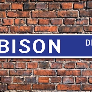 Bison, Bison Gift, Bison Sign, Bison decor, Bison lover, Bison expert, plain dweller, buffalo, Custom Street Sign, Quality Metal Sign