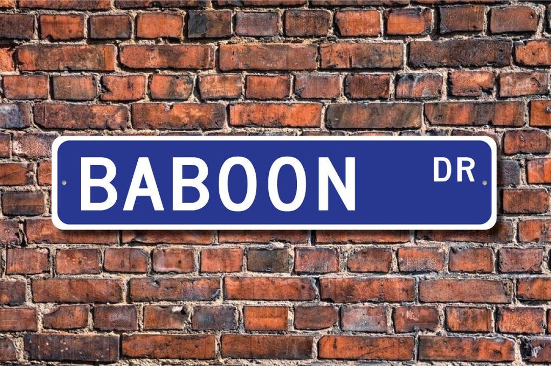 Baboon, Baboon Gift, Baboon Sign, Baboon Decor, Ape, Baboon Lover, Zoo ...