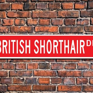 British Shorthair, British Shorthair Lover, British Shorthair Sign, British Shorthair Gift,  Cat Fan, Custom Street Sign, Quality Metal Sign
