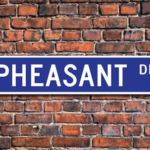 Pheasant, Pheasant Gift, Pheasant Sign, Pheasant decor, Pheasant lover, game bird, chicken like, Custom Street Sign,Quality Metal Sign image 1