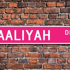 May include: A pink and white street sign with the name "AALIYAH DR." printed on it. The sign is mounted on a brick wall.