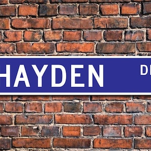 Hayden, Placa Hayden, Ventilador Hayden, Decoração Hayden, Presente para criança, Presente para neto, Presente de aniversário Hayden, Placa de rua personalizada, Placa de metal de qualidade