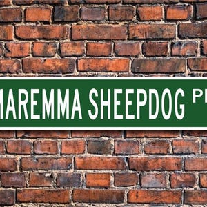 Cão pastor de Maremma, amante de cão pastor de Maremma, placa de cão pastor de Maremma, placa de rua personalizada, placa de metal de qualidade, amante de cães, presente para dono de cão
