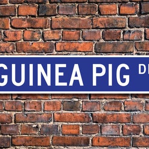 Guinea Pig, Guinea Pig Gift, Guinea Pig Sign, Guinea Pig decor, Guinea Pig lover, household pet, Custom Street Sign, Quality Metal sign