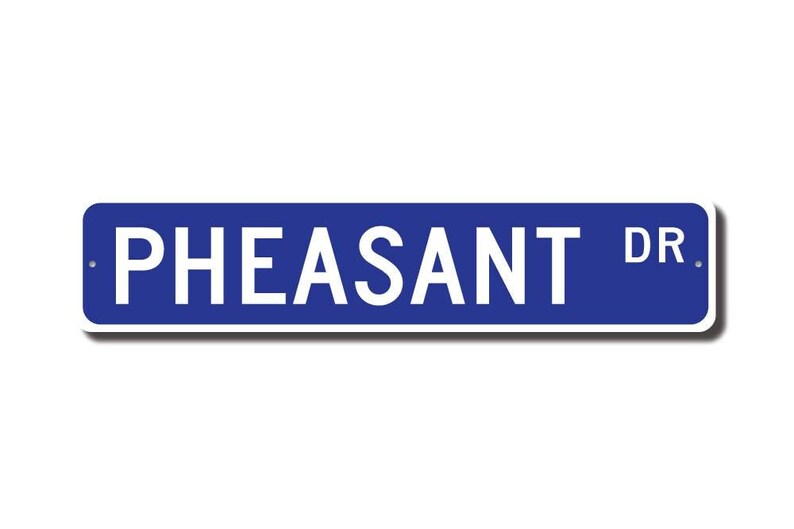 Pheasant, Pheasant Gift, Pheasant Sign, Pheasant decor, Pheasant lover, game bird, chicken like, Custom Street Sign,Quality Metal Sign image 2