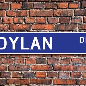 Può includere: Un cartello stradale blu e bianco con il nome "DYLAN DR." stampato in lettere bianche.