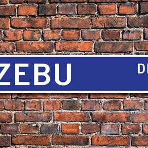 Puede incluir: Un letrero de calle azul con letras blancas que dice "ZEBU DR."