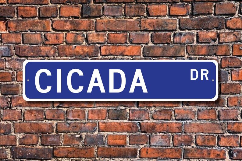 Cicada, Cicada Gift, Cicada Sign, Cicada Decor, Cicada Lover, Cicada ...