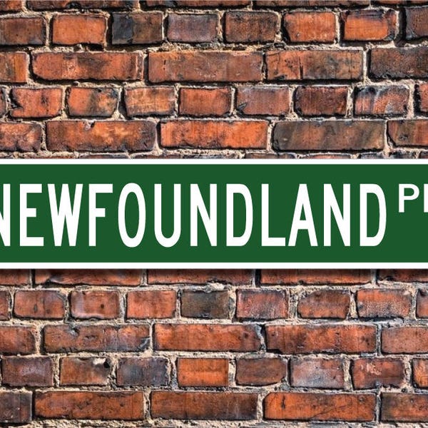 Newfoundland, Newfoundland Lover, Newfoundland Sign, Custom Street Sign, Quality Metal Sign, Dog Owner gift, Dog Lover, sign,