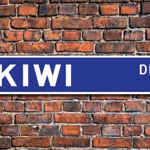 Kiwi, regalo de kiwi, letrero de kiwi, decoración de kiwi, amante del kiwi, aves no voladoras, nativo de Nueva Zelanda, amante de las aves, letrero de calle personalizado, letrero de metal de calidad