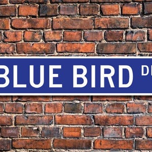 Oiseau bleu, cadeau oiseau bleu, enseigne oiseau bleu, décoration oiseau bleu, expert en oiseaux bleus, mangeoire pour oiseaux, plaque de rue personnalisée, plaque en métal de qualité