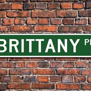 Bretaña, regalo de Bretaña, letrero de Bretaña, regalo para amantes de los perros, letrero de calle personalizado, letrero de metal de calidad,